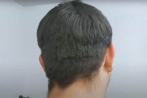 Avoid a Disaster Flowbee Haircut: Tips & Tricks Disaster Information Hub – Latest Natural Disaster News & Emergency Resources Avoid a Disaster Flowbee Haircut: Tips & Tricks | Disaster Information Hub – Latest Natural Disaster News & Emergency Resources