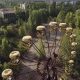 Chernobyl Disaster Cleanup: A Tragic Legacy | Disaster Information Hub – Latest Natural Disaster News & Emergency Resources
