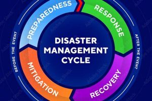 Complete Disaster Management: Natural Disaster Guide Disaster Information Hub – Latest Natural Disaster News & Emergency Resources Complete Disaster Management: Natural Disaster Guide | Disaster Information Hub – Latest Natural Disaster News & Emergency Resources