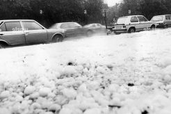 Is Hail a Natural Disaster? The Facts Explained Disaster Information Hub – Latest Natural Disaster News & Emergency Resources Is Hail a Natural Disaster? The Facts Explained | Disaster Information Hub – Latest Natural Disaster News & Emergency Resources
