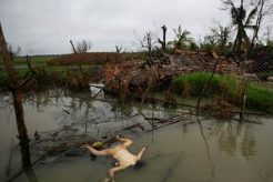 World's Biggest Natural Disasters: A History Disaster Information Hub – Latest Natural Disaster News & Emergency Resources World's Biggest Natural Disasters: A History | Disaster Information Hub – Latest Natural Disaster News & Emergency Resources