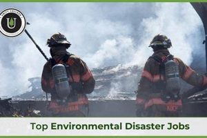 Top Disaster Relief Jobs & Careers Disaster Information Hub – Latest Natural Disaster News & Emergency Resources Top Disaster Relief Jobs & Careers | Disaster Information Hub – Latest Natural Disaster News & Emergency Resources