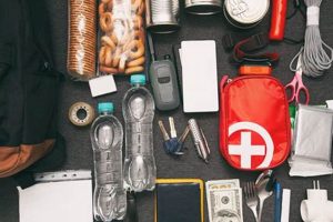 Essential Disaster Prevention Kit Guide & Checklist Disaster Information Hub – Latest Natural Disaster News & Emergency Resources Essential Disaster Prevention Kit Guide & Checklist | Disaster Information Hub – Latest Natural Disaster News & Emergency Resources