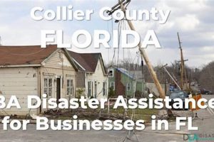Florida Disaster Loan Assistance & Relief Programs Disaster Information Hub – Latest Natural Disaster News & Emergency Resources Florida Disaster Loan Assistance & Relief Programs | Disaster Information Hub – Latest Natural Disaster News & Emergency Resources