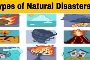 Understanding Natural Disaster Meaning & Impact Disaster Information Hub – Latest Natural Disaster News & Emergency Resources Understanding Natural Disaster Meaning & Impact | Disaster Information Hub – Latest Natural Disaster News & Emergency Resources