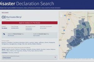 Find Hurricane Beryl FEMA Disaster Number & Aid Disaster Information Hub – Latest Natural Disaster News & Emergency Resources Find Hurricane Beryl FEMA Disaster Number & Aid | Disaster Information Hub – Latest Natural Disaster News & Emergency Resources