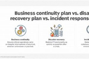 Proactive Incident Response & Disaster Recovery Strategies Disaster Information Hub – Latest Natural Disaster News & Emergency Resources Proactive Incident Response & Disaster Recovery Strategies | Disaster Information Hub – Latest Natural Disaster News & Emergency Resources