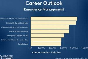 Average Emergency & Disaster Management Salary Guide Disaster Information Hub – Latest Natural Disaster News & Emergency Resources Average Emergency & Disaster Management Salary Guide | Disaster Information Hub – Latest Natural Disaster News & Emergency Resources