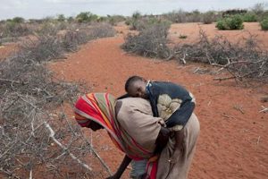 Understanding the Humanitarian Disaster Definition & Meaning Disaster Information Hub – Latest Natural Disaster News & Emergency Resources Understanding the Humanitarian Disaster Definition & Meaning | Disaster Information Hub – Latest Natural Disaster News & Emergency Resources