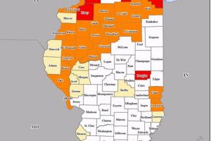 Illinois FEMA Disaster Assistance & Recovery Disaster Information Hub – Latest Natural Disaster News & Emergency Resources Illinois FEMA Disaster Assistance & Recovery | Disaster Information Hub – Latest Natural Disaster News & Emergency Resources