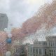 1986 Cleveland Balloon Disaster: Tragedy & Aftermath | Disaster Information Hub – Latest Natural Disaster News & Emergency Resources