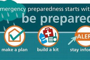 Top Disaster Preparedness & Emergency Management Jobs Disaster Information Hub – Latest Natural Disaster News & Emergency Resources Top Disaster Preparedness & Emergency Management Jobs | Disaster Information Hub – Latest Natural Disaster News & Emergency Resources