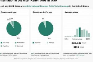 Top International Disaster Relief Jobs & Careers Disaster Information Hub – Latest Natural Disaster News & Emergency Resources Top International Disaster Relief Jobs & Careers | Disaster Information Hub – Latest Natural Disaster News & Emergency Resources