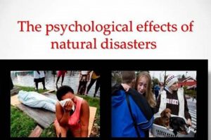 Understanding Disaster Psychology & Its Effects Disaster Information Hub – Latest Natural Disaster News & Emergency Resources Understanding Disaster Psychology & Its Effects | Disaster Information Hub – Latest Natural Disaster News & Emergency Resources