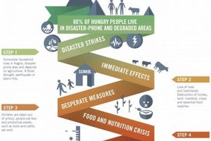 Complete Disaster Risk & Reduction Guide Disaster Information Hub – Latest Natural Disaster News & Emergency Resources Complete Disaster Risk & Reduction Guide | Disaster Information Hub – Latest Natural Disaster News & Emergency Resources