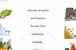 Free Natural Disasters Worksheet & Answers Disaster Information Hub – Latest Natural Disaster News & Emergency Resources Free Natural Disasters Worksheet & Answers | Disaster Information Hub – Latest Natural Disaster News & Emergency Resources