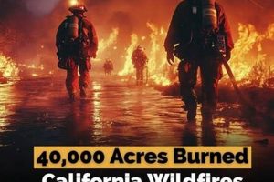 Top 10 America's Worst Disasters & Aftermath Disaster Information Hub – Latest Natural Disaster News & Emergency Resources Top 10 America's Worst Disasters & Aftermath | Disaster Information Hub – Latest Natural Disaster News & Emergency Resources
