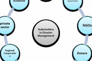Key Disaster Management Stakeholders & Their Roles Disaster Information Hub – Latest Natural Disaster News & Emergency Resources Key Disaster Management Stakeholders & Their Roles | Disaster Information Hub – Latest Natural Disaster News & Emergency Resources