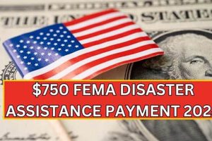 Get FEMA Disaster Relief: $750 Aid Explained Disaster Information Hub – Latest Natural Disaster News & Emergency Resources Get FEMA Disaster Relief: $750 Aid Explained | Disaster Information Hub – Latest Natural Disaster News & Emergency Resources