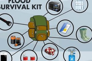 Essential Flood Disaster Kit Checklist & Guide Disaster Information Hub – Latest Natural Disaster News & Emergency Resources Essential Flood Disaster Kit Checklist & Guide | Disaster Information Hub – Latest Natural Disaster News & Emergency Resources
