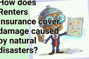 Renters Insurance: Natural Disaster Coverage Explained Disaster Information Hub – Latest Natural Disaster News & Emergency Resources Renters Insurance: Natural Disaster Coverage Explained | Disaster Information Hub – Latest Natural Disaster News & Emergency Resources