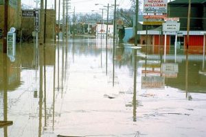 Fort Wayne, IN Natural Disaster Risks & Preparedness Disaster Information Hub – Latest Natural Disaster News & Emergency Resources Fort Wayne, IN Natural Disaster Risks & Preparedness | Disaster Information Hub – Latest Natural Disaster News & Emergency Resources