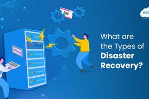 Top Disaster Recovery Categories Explained Disaster Information Hub – Latest Natural Disaster News & Emergency Resources Top Disaster Recovery Categories Explained | Disaster Information Hub – Latest Natural Disaster News & Emergency Resources