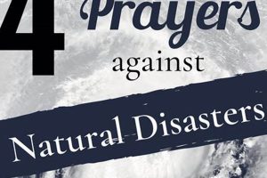 Powerful Prayers for Natural Disasters & Recovery Disaster Information Hub – Latest Natural Disaster News & Emergency Resources Powerful Prayers for Natural Disasters & Recovery | Disaster Information Hub – Latest Natural Disaster News & Emergency Resources