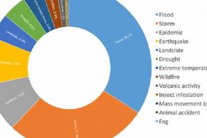 Understanding Disaster Distribution & Logistics Disaster Information Hub – Latest Natural Disaster News & Emergency Resources Understanding Disaster Distribution & Logistics | Disaster Information Hub – Latest Natural Disaster News & Emergency Resources