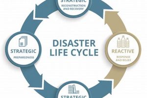 Understanding the Disaster Life Cycle: A Complete Guide Disaster Information Hub – Latest Natural Disaster News & Emergency Resources Understanding the Disaster Life Cycle: A Complete Guide | Disaster Information Hub – Latest Natural Disaster News & Emergency Resources