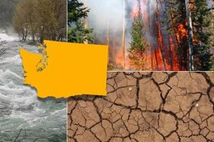 Washington State Natural Disaster Guide & Prep Disaster Information Hub – Latest Natural Disaster News & Emergency Resources Washington State Natural Disaster Guide & Prep | Disaster Information Hub – Latest Natural Disaster News & Emergency Resources