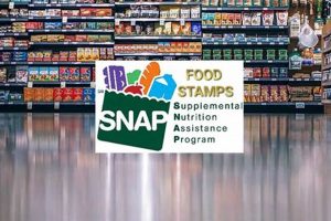 Florida SNAP Disaster Relief: A Guide Disaster Information Hub – Latest Natural Disaster News & Emergency Resources Florida SNAP Disaster Relief: A Guide | Disaster Information Hub – Latest Natural Disaster News & Emergency Resources