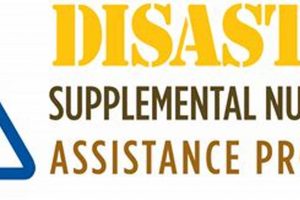 Disaster Relief: Get SNAP Benefits Now Disaster Information Hub – Latest Natural Disaster News & Emergency Resources Disaster Relief: Get SNAP Benefits Now | Disaster Information Hub – Latest Natural Disaster News & Emergency Resources
