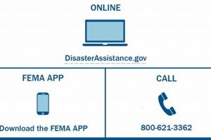 Check FEMA Disaster Application Status Updates Disaster Information Hub – Latest Natural Disaster News & Emergency Resources Check FEMA Disaster Application Status Updates | Disaster Information Hub – Latest Natural Disaster News & Emergency Resources