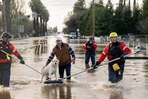 CA Disaster Relief: Guide & Resources Disaster Information Hub – Latest Natural Disaster News & Emergency Resources CA Disaster Relief: Guide & Resources | Disaster Information Hub – Latest Natural Disaster News & Emergency Resources
