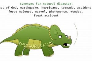 Complete Disaster Thesaurus & Glossary Disaster Information Hub – Latest Natural Disaster News & Emergency Resources Complete Disaster Thesaurus & Glossary | Disaster Information Hub – Latest Natural Disaster News & Emergency Resources