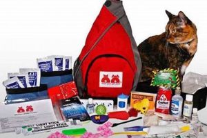 Essential Pet Disaster Kit: Prep Now, Save Later | Disaster Information Hub – Latest Natural Disaster News & Emergency Resources