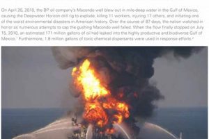 Deepwater Horizon: Disaster Summary & Key Findings Disaster Information Hub – Latest Natural Disaster News & Emergency Resources Deepwater Horizon: Disaster Summary & Key Findings | Disaster Information Hub – Latest Natural Disaster News & Emergency Resources