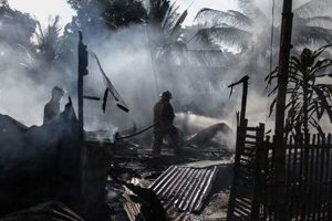 Entry-Level Disaster Relief Jobs: Start Your Career Disaster Information Hub – Latest Natural Disaster News & Emergency Resources Entry-Level Disaster Relief Jobs: Start Your Career | Disaster Information Hub – Latest Natural Disaster News & Emergency Resources