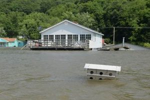 Natural Disasters In Mississippi Disaster Information Hub – Latest Natural Disaster News & Emergency Resources Natural Disasters In Mississippi | Disaster Information Hub – Latest Natural Disaster News & Emergency Resources