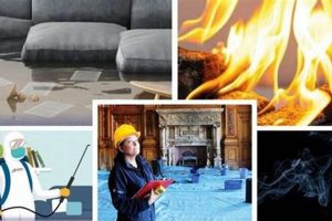 Complete Disaster Repair & Restoration Disaster Information Hub – Latest Natural Disaster News & Emergency Resources Complete Disaster Repair & Restoration | Disaster Information Hub – Latest Natural Disaster News & Emergency Resources