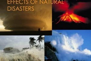 Devastating Effects of Natural Disasters: A Guide Disaster Information Hub – Latest Natural Disaster News & Emergency Resources Devastating Effects of Natural Disasters: A Guide | Disaster Information Hub – Latest Natural Disaster News & Emergency Resources