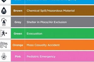 Averting Disaster: Recognizing the Code Disaster Information Hub – Latest Natural Disaster News & Emergency Resources Averting Disaster: Recognizing the Code | Disaster Information Hub – Latest Natural Disaster News & Emergency Resources