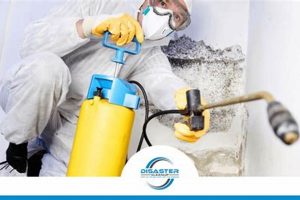Find Disaster Cleanup Jobs Near You Now Disaster Information Hub – Latest Natural Disaster News & Emergency Resources Find Disaster Cleanup Jobs Near You Now | Disaster Information Hub – Latest Natural Disaster News & Emergency Resources