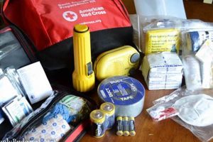 Build Your FEMA Disaster Kit: A 2023 Guide Disaster Information Hub – Latest Natural Disaster News & Emergency Resources Build Your FEMA Disaster Kit: A 2023 Guide | Disaster Information Hub – Latest Natural Disaster News & Emergency Resources