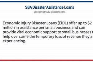 Disaster Economic Injury Disaster Loans: Relief Guide Disaster Information Hub – Latest Natural Disaster News & Emergency Resources Disaster Economic Injury Disaster Loans: Relief Guide | Disaster Information Hub – Latest Natural Disaster News & Emergency Resources