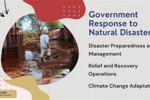 Effective Government Disaster Response & Relief Disaster Information Hub – Latest Natural Disaster News & Emergency Resources Effective Government Disaster Response & Relief | Disaster Information Hub – Latest Natural Disaster News & Emergency Resources