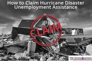 Filing a Disaster Unemployment Claim: A Guide Disaster Information Hub – Latest Natural Disaster News & Emergency Resources Filing a Disaster Unemployment Claim: A Guide | Disaster Information Hub – Latest Natural Disaster News & Emergency Resources