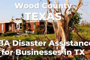 Texas SBA Disaster Loans: Get Help Now Disaster Information Hub – Latest Natural Disaster News & Emergency Resources Texas SBA Disaster Loans: Get Help Now | Disaster Information Hub – Latest Natural Disaster News & Emergency Resources