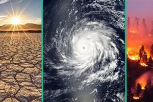 Climate Change & Natural Disasters: The Link? Disaster Information Hub – Latest Natural Disaster News & Emergency Resources Climate Change & Natural Disasters: The Link? | Disaster Information Hub – Latest Natural Disaster News & Emergency Resources